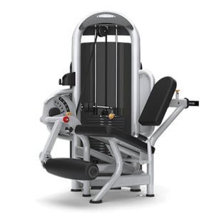 JOHNSON MATRIX AURA LEG EXTENSION