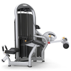 JOHNSON MATRIX AURA PRONE LEG CURL