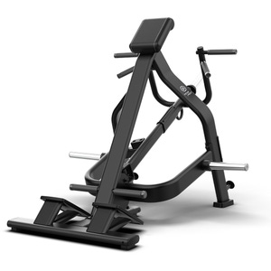NEXT PLATED LOADED T-BAR ROW